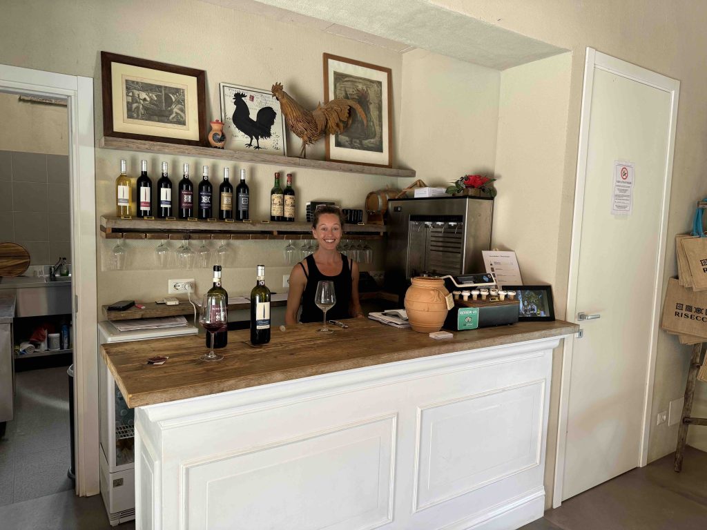 Wine Tasting in Chianti Italy