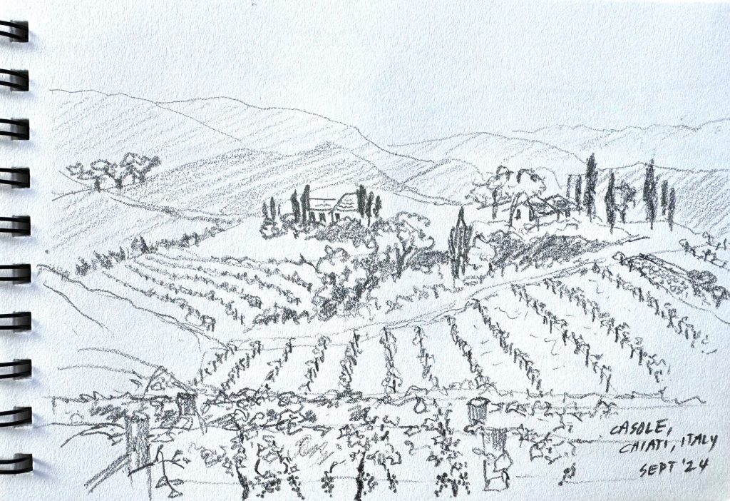 Sketch of rolling hills of vines in Chianti Italy