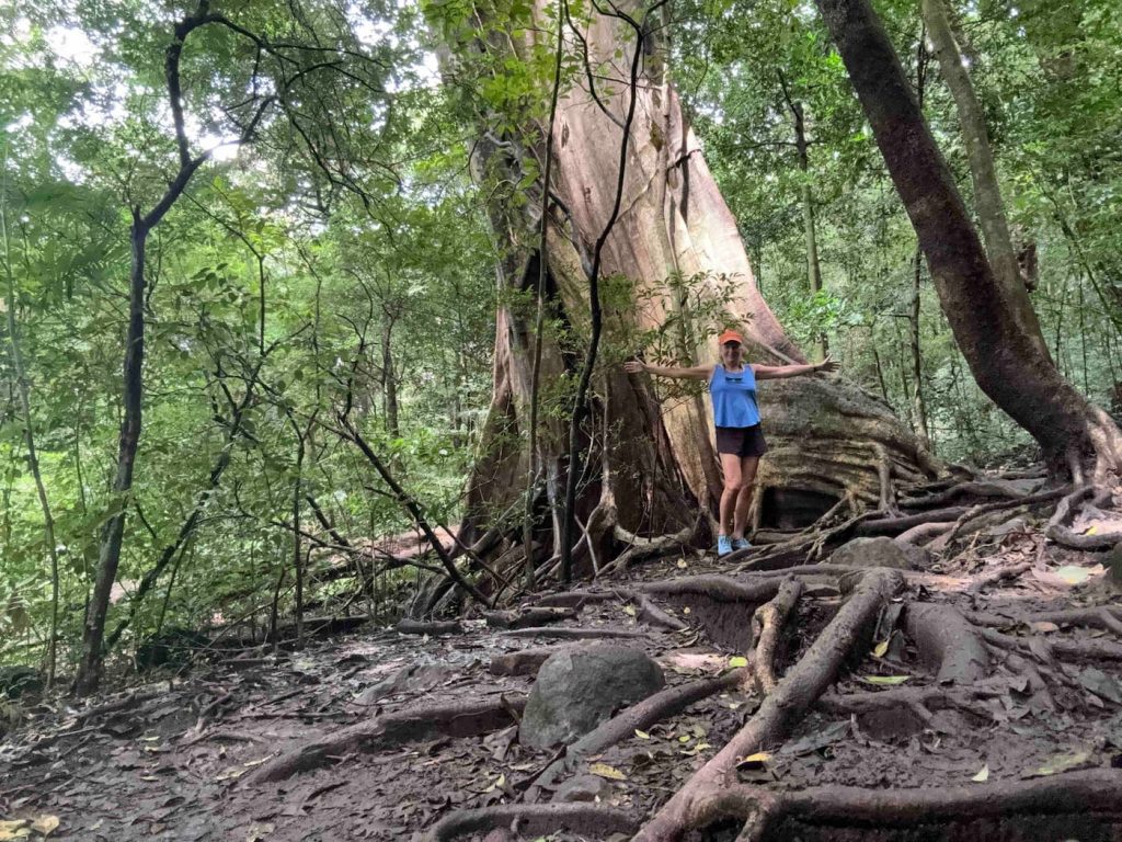 Hiking in National Park