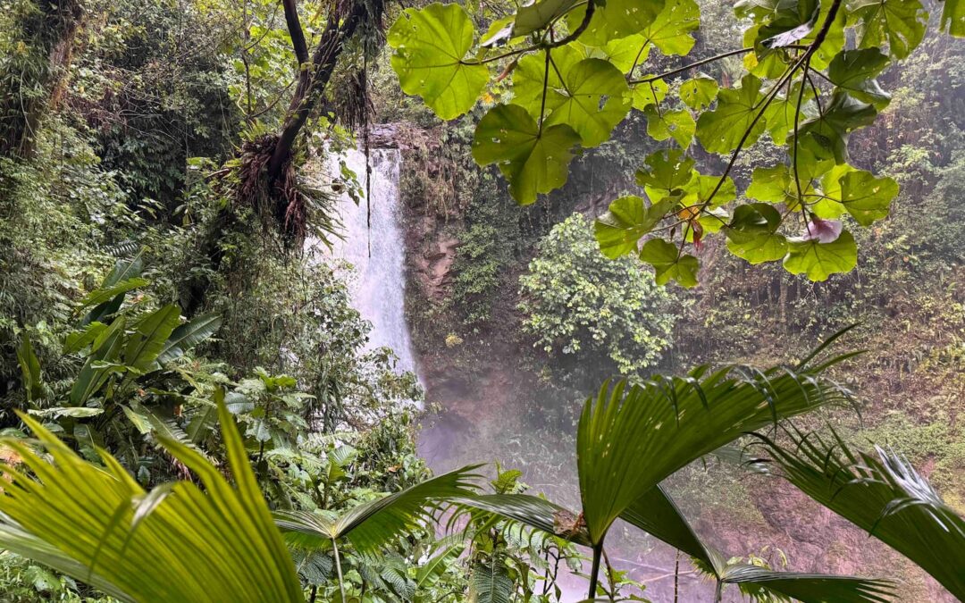 La Paz Waterfall Gardens Costa Rica