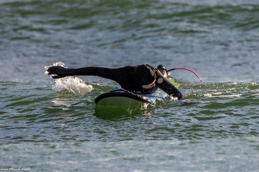 Lawrencetown Beach Mary paddle out