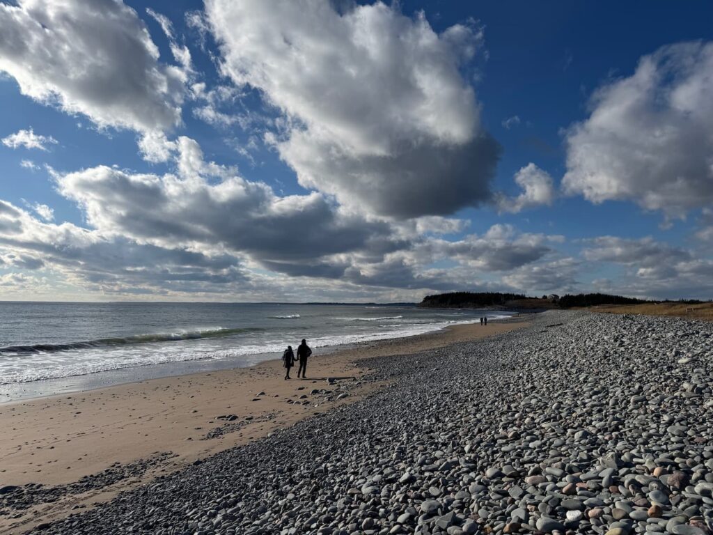 Dog walkers Lawrencetown Beach