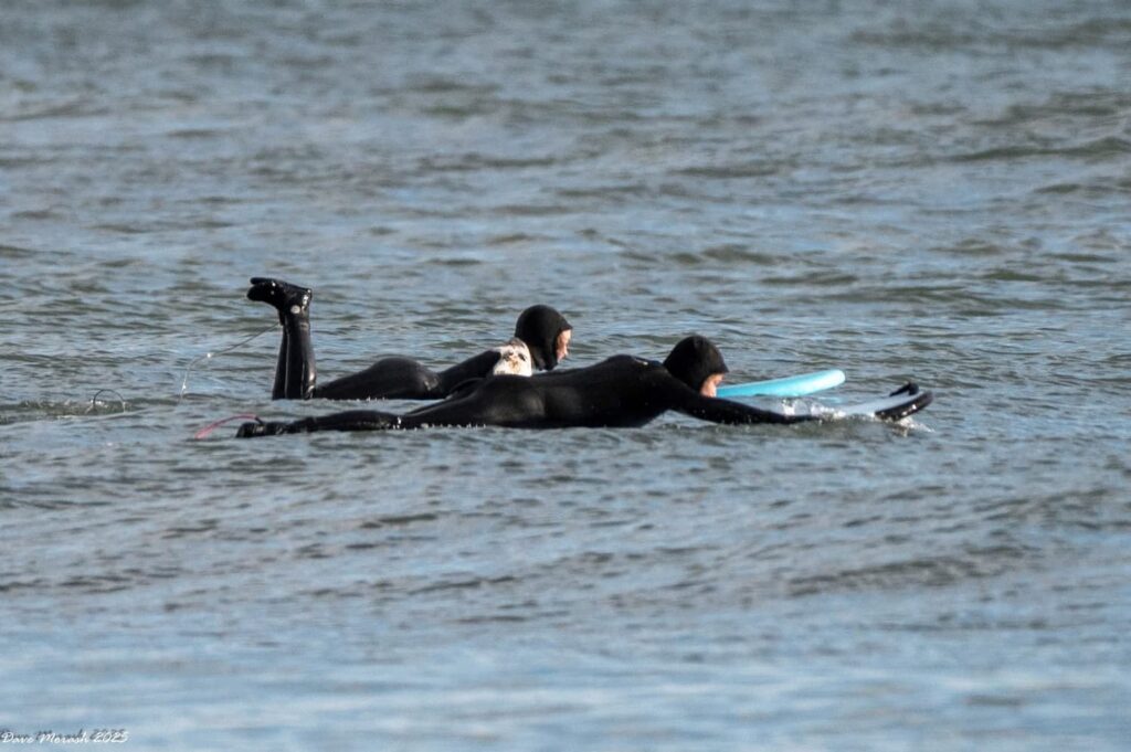 Lawrencetown Beach Mary & Breana paddle out