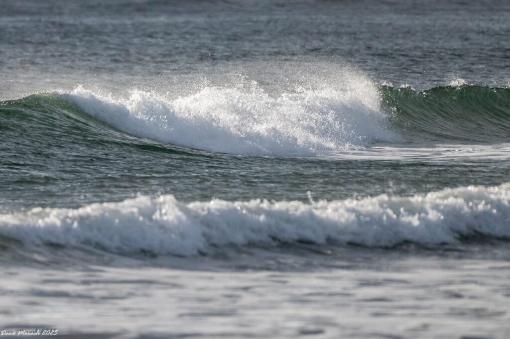 Waves close up Lawrencetown Beach