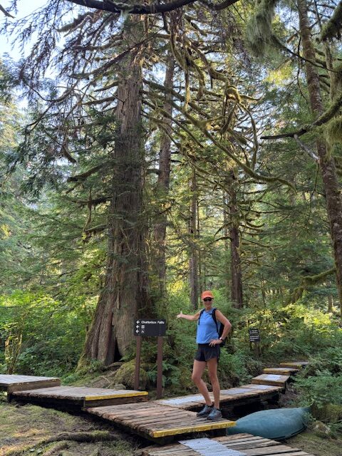 Trail to Chatterbox Falls, Princess Louisa Inlet