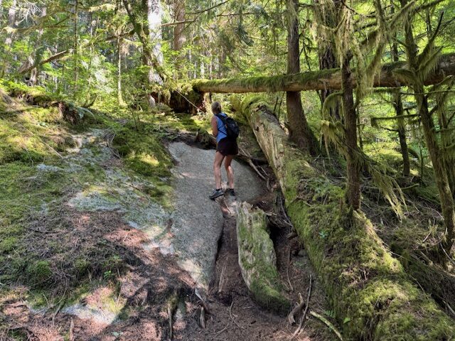 Climbing ropes, Trappers Cabin hike, Princess Louisa Inlet