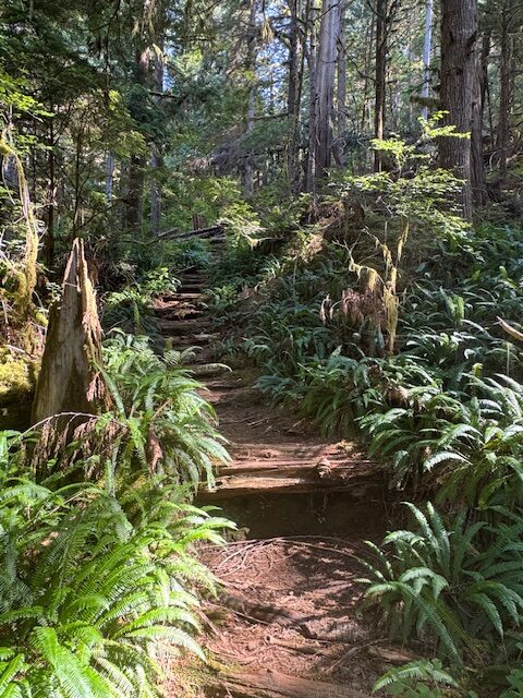 Trappers Cabin hike, Princess Louisa Inlet