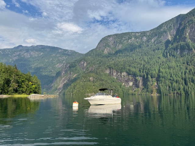Zoomerang on buoy, off Macdonald Island, Princess Louisa Inlet