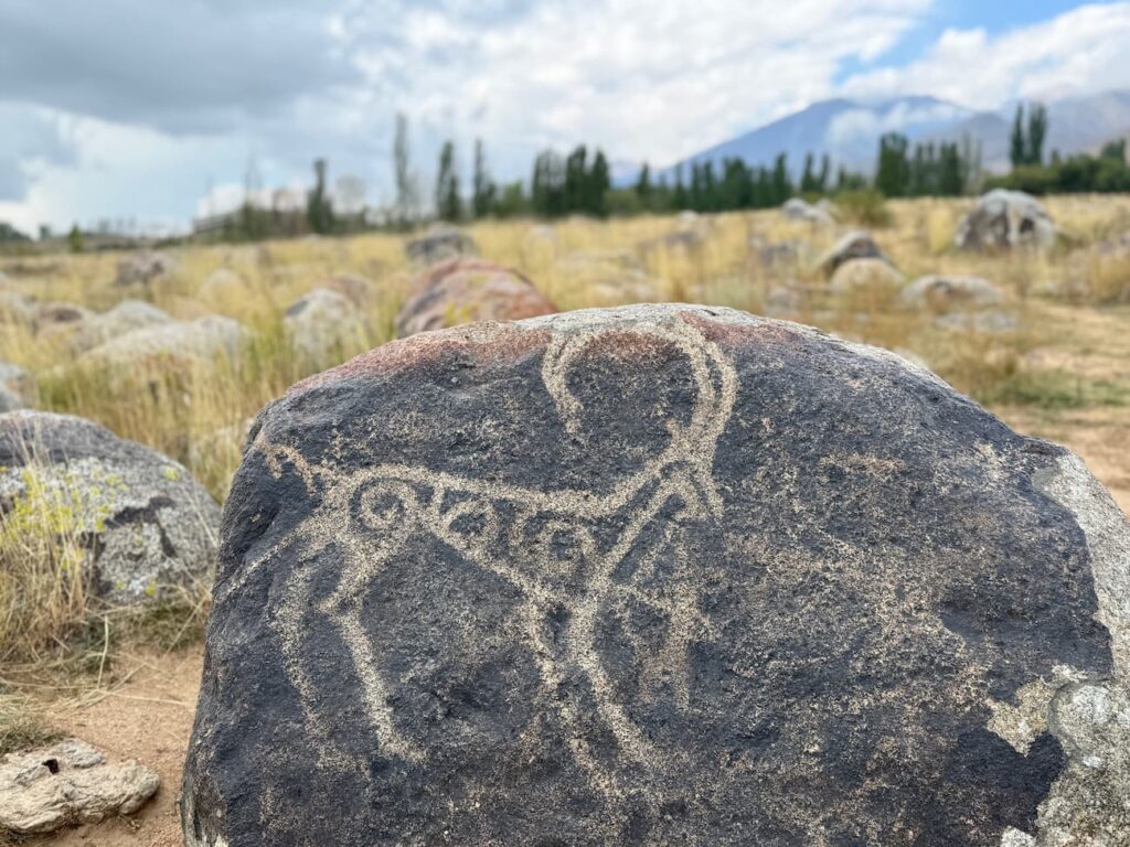 Kazakhstan and Kyrgyzstan adventure - Petroglyphs, Cholpan Alta