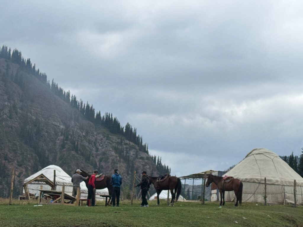 Yurt village, horses